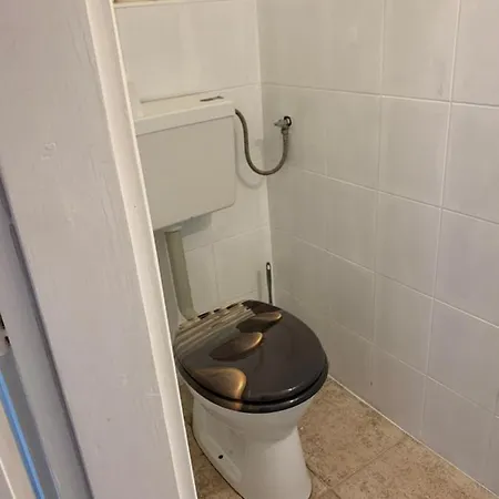 Arthaus Roenoek Ronok