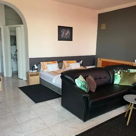 Arthaus Roenoek Apartment