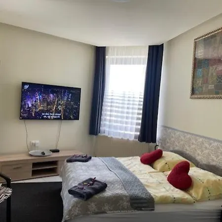 Apartment Arthaus Roenoek *