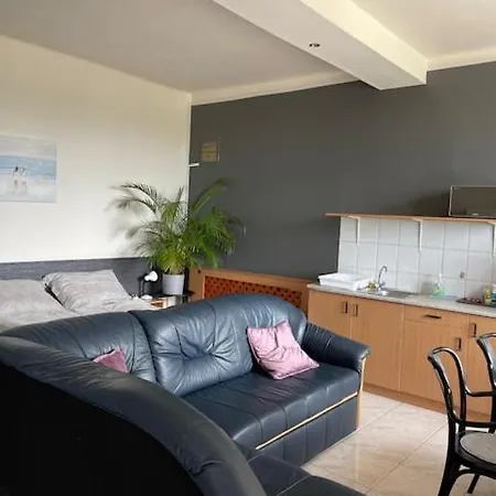 Arthaus Roenoek Apartment Ronok