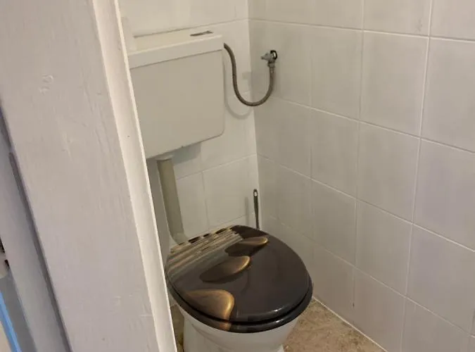 Arthaus Roenoek Ronok