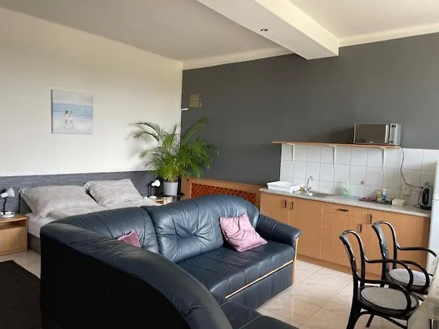 Arthaus Roenoek Апартаменты Ronok